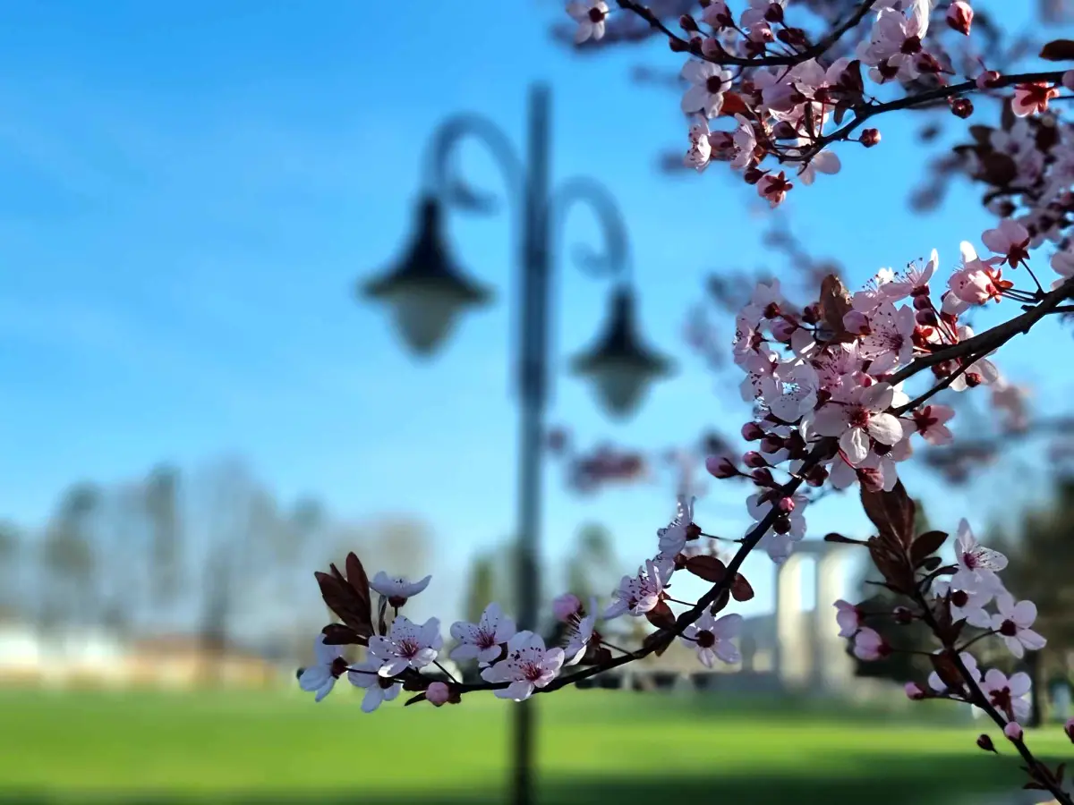 Cum va fi vremea în perioada 19 mai – 15 iunie 2025. Prognoza meteo pentru următoarele patru săptămâni